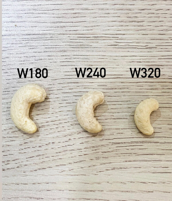 High Quality Cashew Nuts WW240 WW320 WW450 Cashew Nuts Cashew Nut Raw Dried Organic Vietnam - Image 2