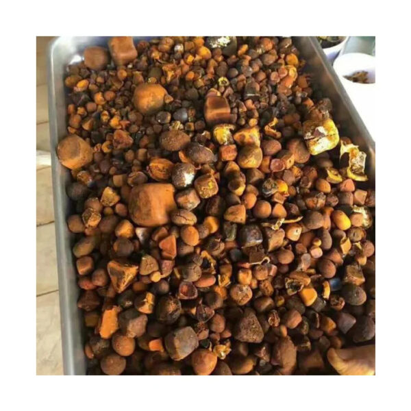 Natural Bezoar Gallstone Cow Bezoar Gallstones - Image 2