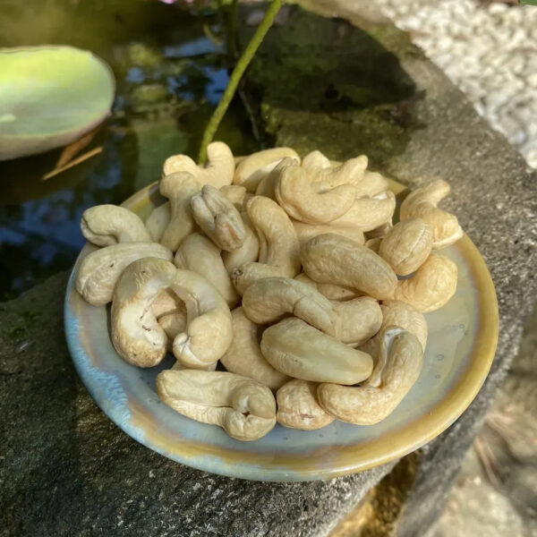 Vietnam Factory Supply Delicious Whole w320 Cashew Nuts For Snack Food With 24 moths Shelf Life - Image 2