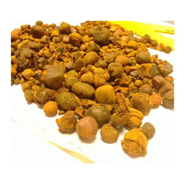 Quality Gallstones ox cow bezoar ox gallstones - Image 2