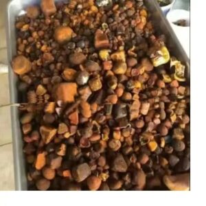 100% Natural Dried Cow Ox Gallstones Cattle Gallstones Cow Gallstones Hot Sale at best price