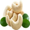 Wholesale Raw Cashew Nuts Roasted Salted Cashew - Image 3