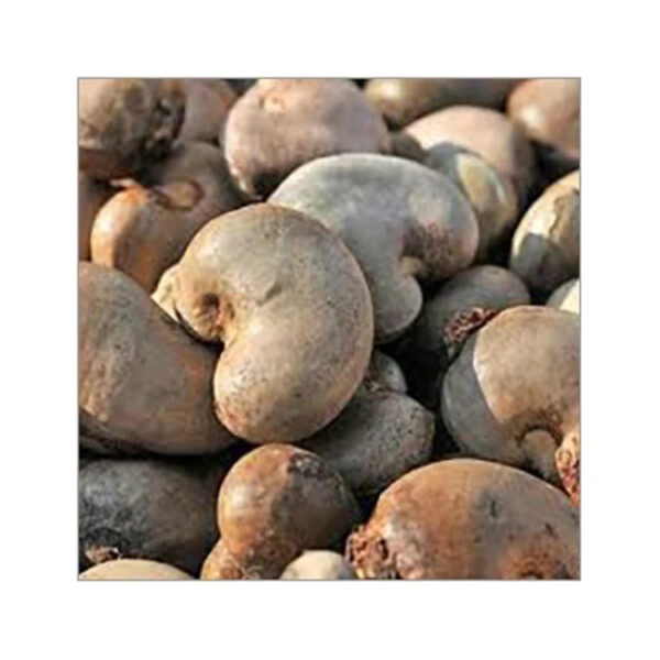 Cheap Price Kernel Organic Quality Cashews Nut Supplier Offers Benin Raw Cashew Nuts In Shell - Image 3