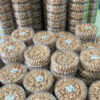 Viet Nam Cashew nut Binh Phuoc Roasted at Factory cashew W320 W240 Crispy delicious 500g Cheap price to export - Image 3