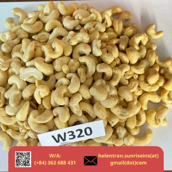 Cashew Nut SP/LP/W180/W240/W320 Origin Vietnam Custom Package - Image 3