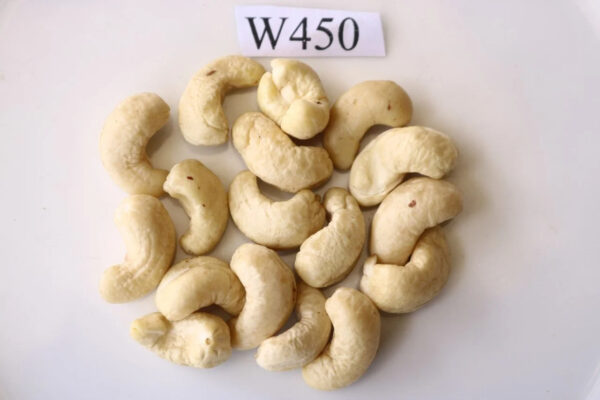 W450 Cashew Nut Vietnam White Cashews Exporter in Vietnam Pure Vietnam Cashew Nuts Origin Binh Phuoc - Image 4