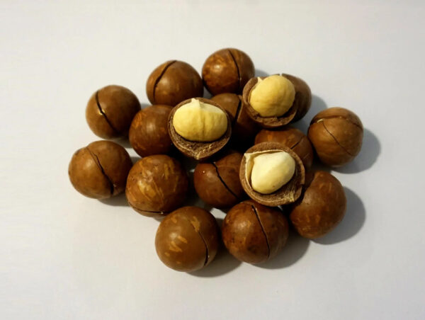 High quality Macadamia Nuts with Shell and Cashew From Vietnam For EU Market - Image 4