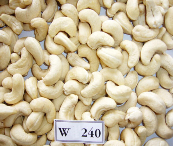 CHEAP BULK Cashew Nut Prompt Raw Vietnam WW180 WW240 W320 WW320 Quality High Competitive Price - Image 4