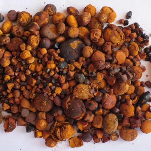 Natural Bezoar Gallstone Cow Bezoar Gallstones - Image 4