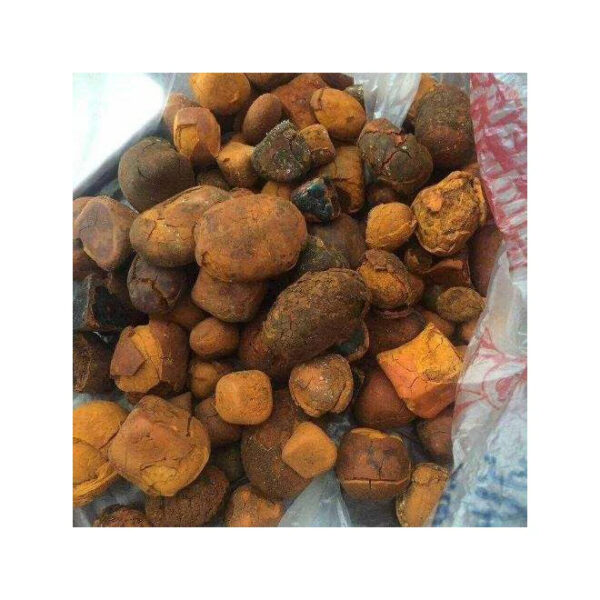 Quality Gallstones ox cow bezoar ox gallstones - Image 4