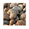 Cheap Price Kernel Organic Quality Cashews Nut Supplier Offers Benin Raw Cashew Nuts In Shell - Image 5