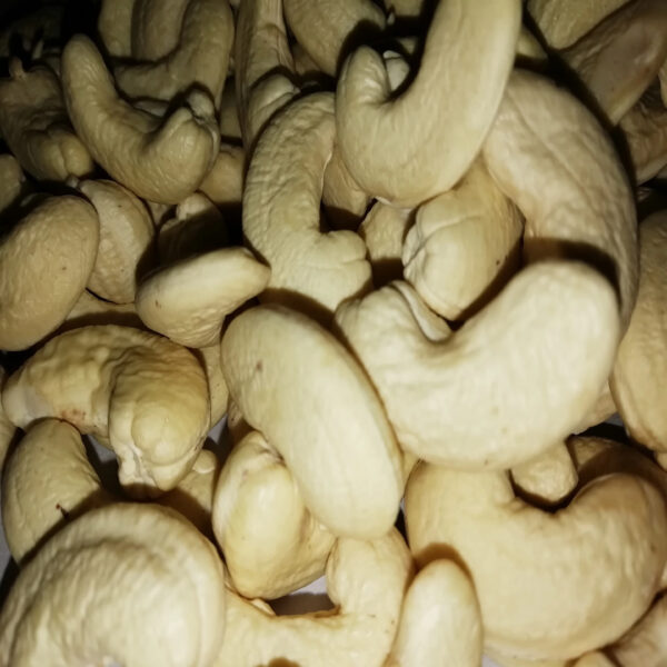 VIETNAM RAW CASHEW/CASHEW NUTS/ CASHEW KERNELS W240/ W320/ W450/ WS/ LP/ SP - Image 5