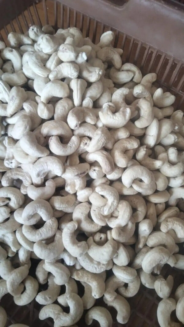 With Good Price And All Size Raw Salted Roast Cashew Nuts For Snack Made In Vietnam High Quality Raw Cashew Nuts - Image 5