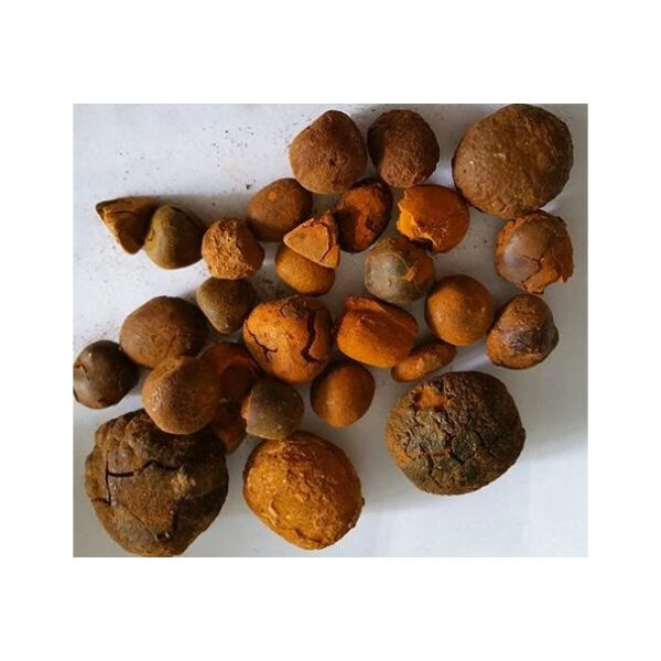 Cow/Ox Gallstones Offer