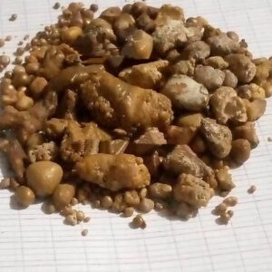 Buy Ox Gallstones / Buy Cattle Gallstones / Human Gallstones