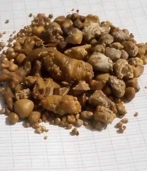 Buy Ox Gallstones / Buy Cattle Gallstones / Human Gallstones