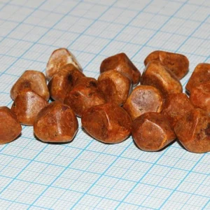 Red Ox Gallstone