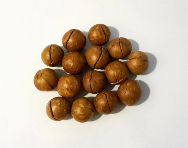 High quality Macadamia Nuts with Shell and Cashew From Vietnam For EU Market - Image 6