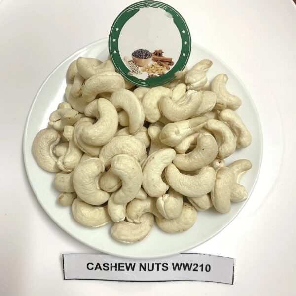 Cashews Cashew Nuts-Vietnamese Original Cashews-Vietnamese Cashews W240 W320 W180 for import and export - Image 6