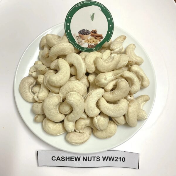 Wholesale Vietnamese High Quality Raw Cashew Nuts With Best Price And All Size Raw Cashew Nuts W180 W240 W320 W450 Cashew Nut - Image 6