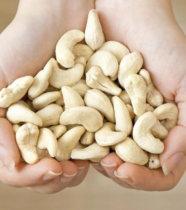 RAW CASHEW NUTS AND ROASTED AND SALTED CASHEW NUTS / CashewNuts (W240 W320 W450) - Image 6