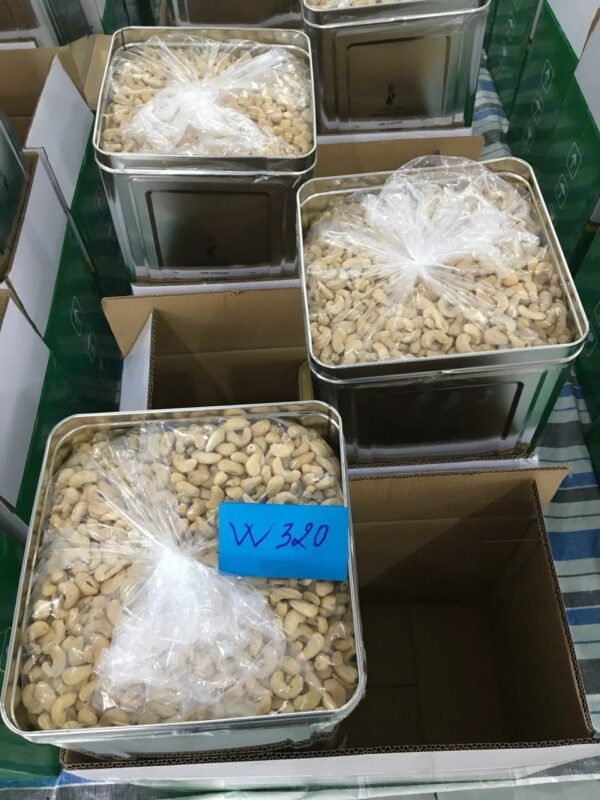 High Quality Cashew Nuts Cashew W180- W240- W320- W450 Cashew without shell cheap price From Vietnam - Image 6