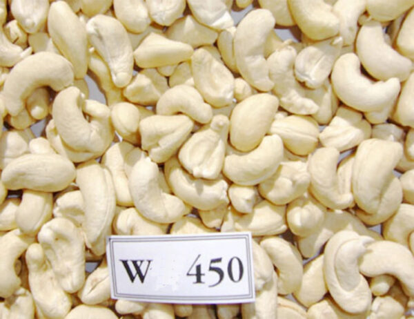 CHEAP BULK Cashew Nut Prompt Raw Vietnam WW180 WW240 W320 WW320 Quality High Competitive Price - Image 6