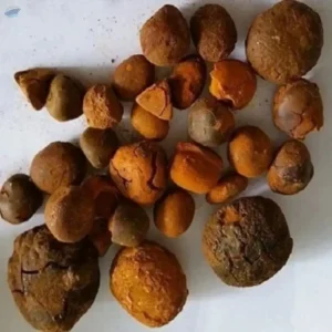 Dried Cow Ox Gallstones / Cattle Gallstones