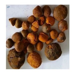 Natural and Pure top Quality Ox Gallstones Cattle Gallstones Cow Gallstones