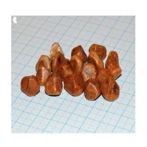 Buy ox gallstones bezoar bovis niuhuang xi huang wan worldwide for the best price