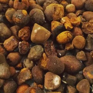 Ox/cow Gallstone Color Brown