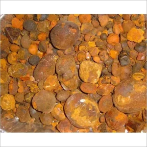 Ox Gallstones Ready for Export