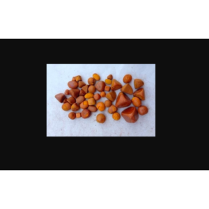 Buy Grade A Ox Gallstones / Cow Gallstones For Sale Wholesale