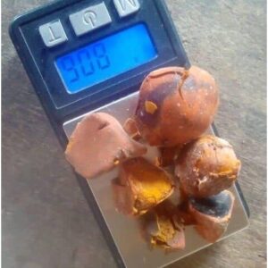 Top Quality Grade A Ox Gallstones / Cow Gallstones For Sale Wholesale