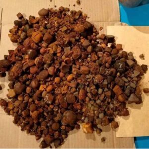 Cow Gall Stones / Ox Gallstones