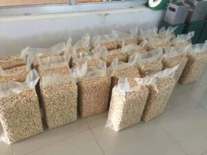 VIETNAM RAW CASHEW/CASHEW NUTS/ CASHEW KERNELS W240/ W320/ W450/ WS/ LP/ SP 