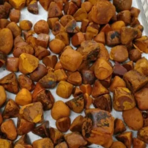 Cow Ox Cattle Gallstones