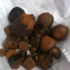 Ox And Cow Gallstones for good price - Image 6