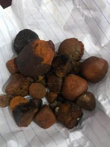 Raw Natural Ox Gallstones For Medicine Form Solid