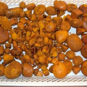 Cow And Ox Gallstones Grade 100% Whole Stones