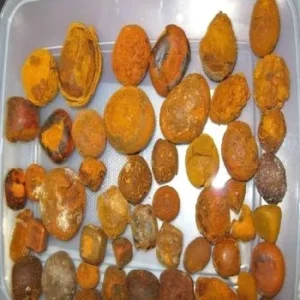 Cow And Ox Gallstones Application For Tank