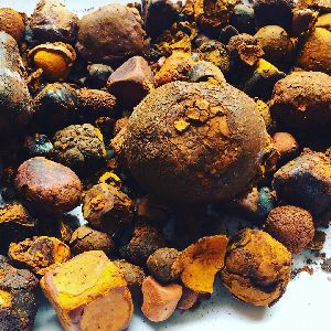 Cow Gallstone For Medicine Purity 99%