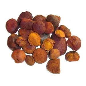 Wholesale Price Cow Ox Gallstones