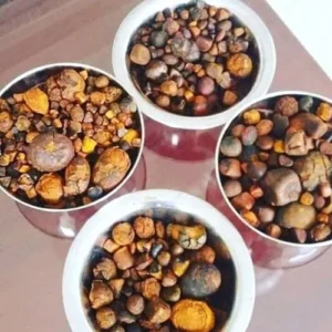 Cow Gallstones 100% Whole Stone Grade A