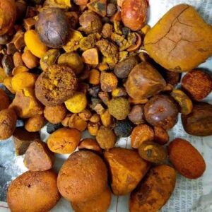 Cow / Ox Gallstones in stock