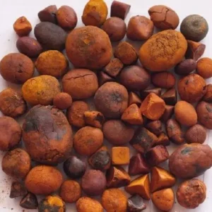 Best Premium Grade Cow Ox Gallstone for Sale