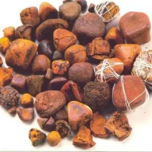 100% Whole Stones Ox Gallstones/ Cow Gallstones