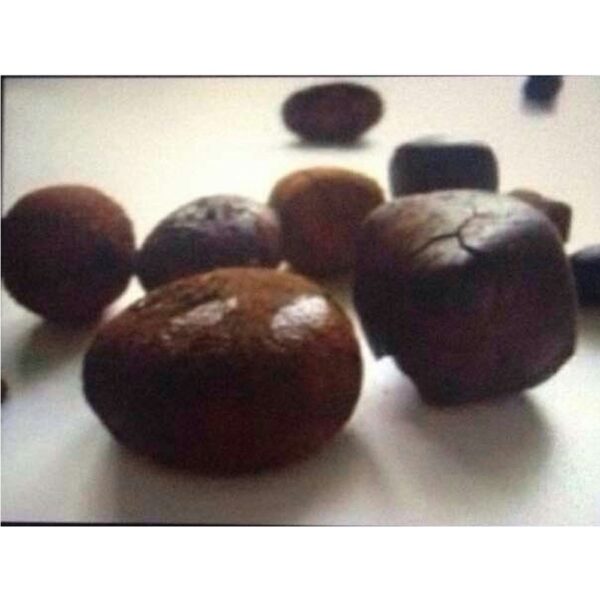 Dark Brown Ox Gallstones