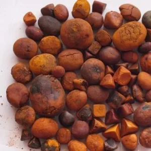 Eco Friendly Cow Gallstones