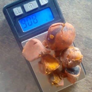 Ox Cow Gallstone Supplier